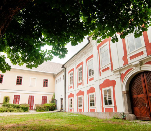 (kód: 2410) Probuzené baroko- příběhy záchrany pošumavských zámků Týnec a Mlázovy